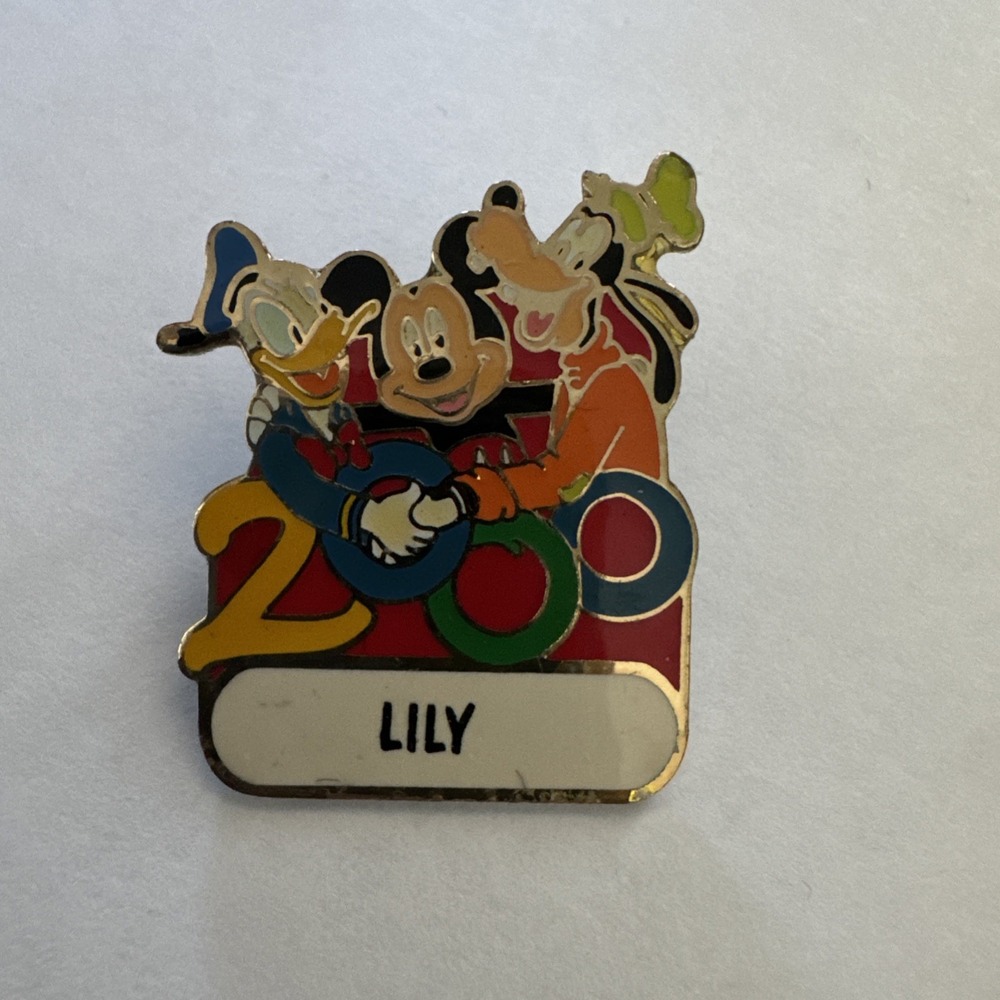 Vintage WDW -‎ Donald, Mickey, and Goofy Hand in Hand 2000 Name Pin LILY Pin